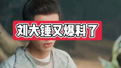 刘大锤爆料榜单最新图片,榜单风云再起，揭秘热门话题背后的秘密