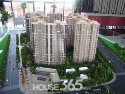 天琴湾最新消息爆料视频,揭秘神秘视频背后的惊人真相